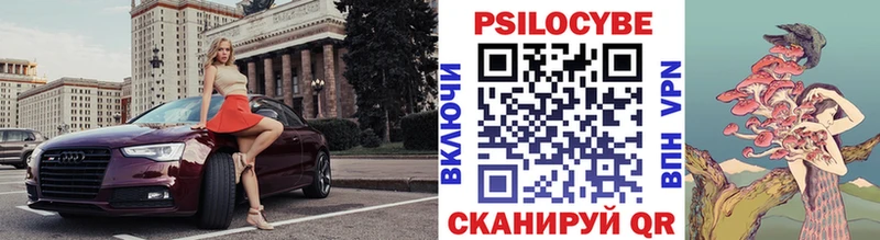 Галлюциногенные грибы Psilocybe Копейск