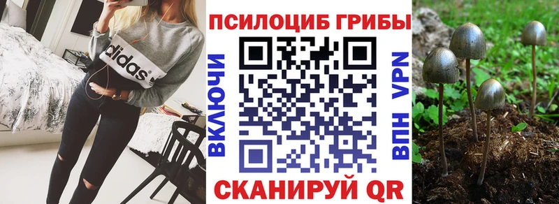OMG как зайти это какой сайт Копейск Галлюциногенные грибы прущие грибы наркотики