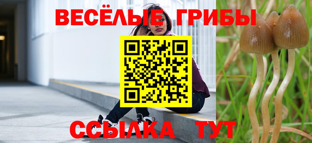 Псилоцибиновые грибы MAGIC MUSHROOMS Копейск